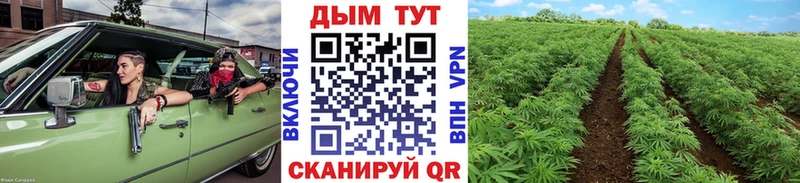 Конопля семена  Вытегра 